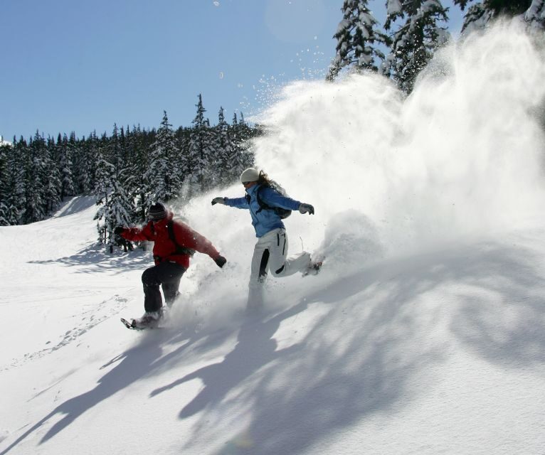 Bend: Half-Day Snowshoe Tour in the Cascade Mountain Range - In-Depth Look at the Itinerary and Experience