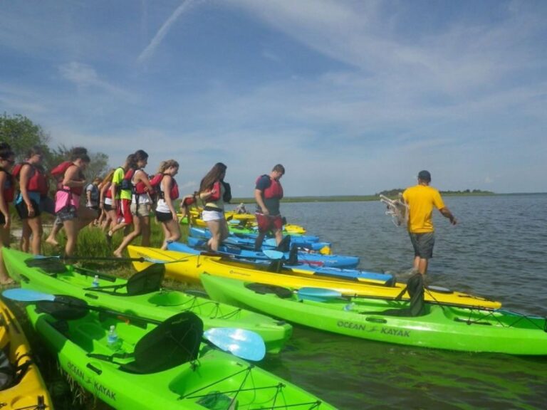Berlin: Assateague Island Wildlife Discovery Kayak Tour - The Practical Side: Price, Equipment, and Accessibility