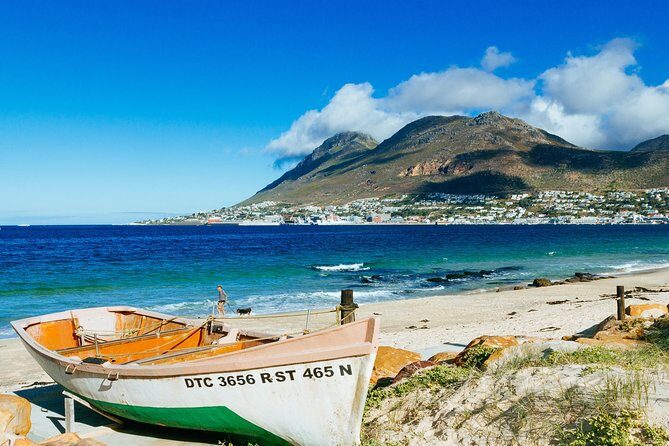 Best Cape Point/Cape of Goodhope/Penguins/Kirstenbosch - Transportation & Practicalities