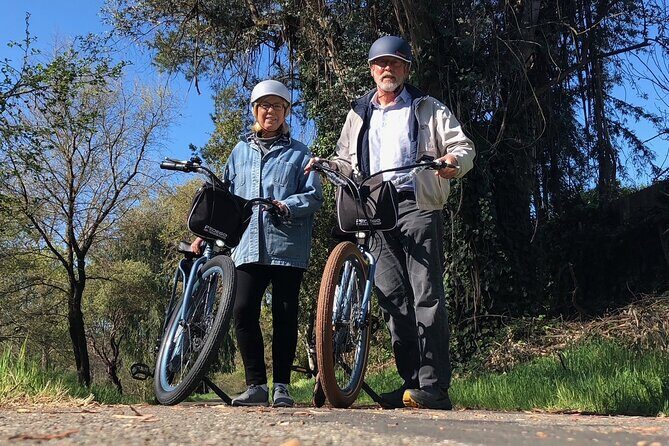 Best E-Bike Rental! Wine country fun - A Comfortable and Scenic Ride: What to Expect