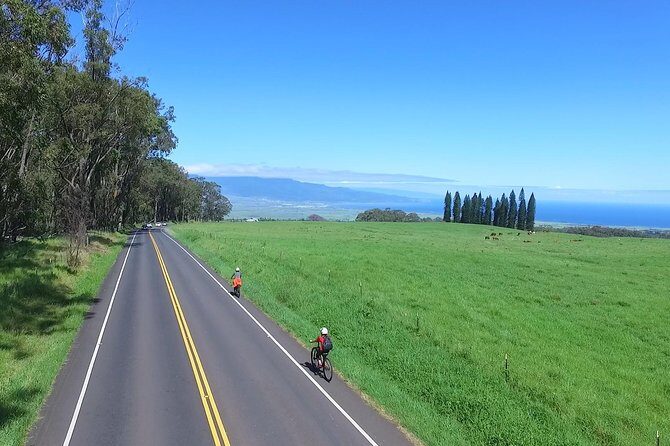 Best Haleakala Downhill Self-Guided Bike Tour with Maui Sunriders - An In-Depth Look at the Maui Sunriders Haleakala Downhill Tour