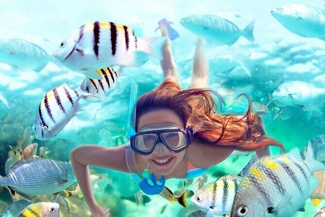 Best half-day snorkel tour: visit Kaan Luum, Yalku & Cenote - Considering the Logistics and Potential Drawbacks