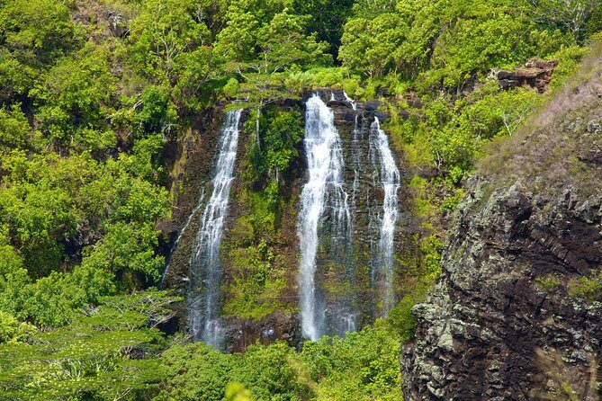 Best Kauai Northeast, Fern Grotto River Cruise & Lighthouse Tour - FAQ