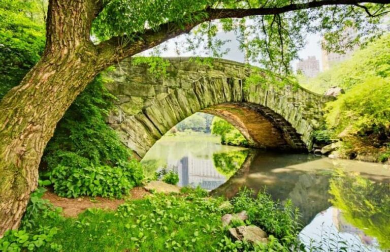 Best of Central Park: Top-Rated Pedicab Tour NYC - Why This Tour Works Well for Different Travelers