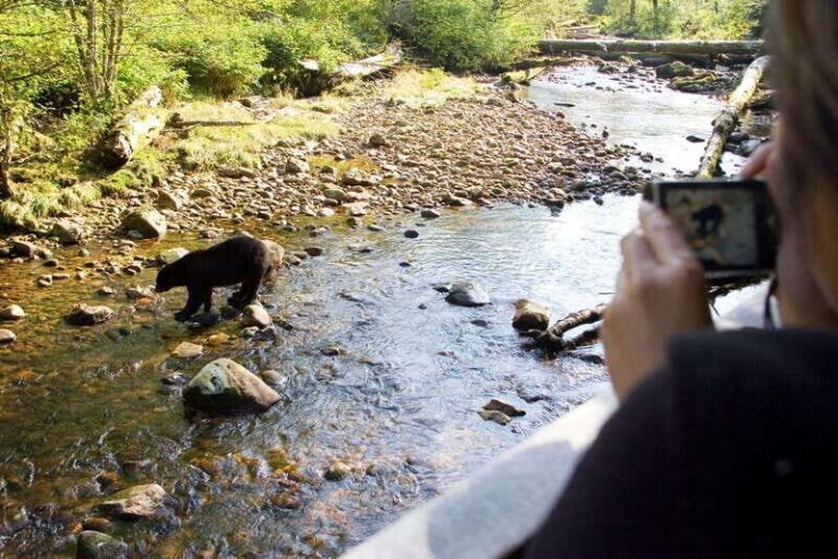 Best of Kananaskis PRIVATE SAFARI Tour + Custom Nature Walk - Why Consider This Tour?