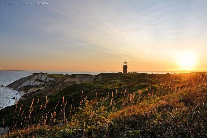 Best of Martha's Vineyard 1-Day Tour from Boston MA - Free Time: To Explore or Relax