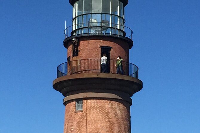 Best of Martha's Vineyard 3 hour Full-Island Tour - What Travelers Say