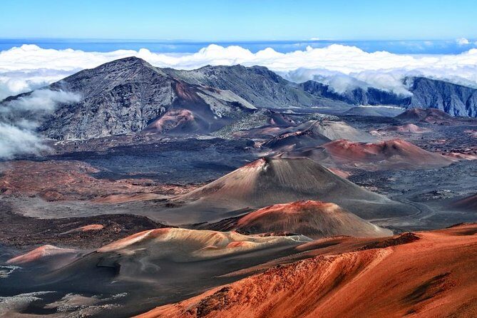 Best of Maui Tour: Sips, Sites and Bites with Lunch - Transport and Group Size