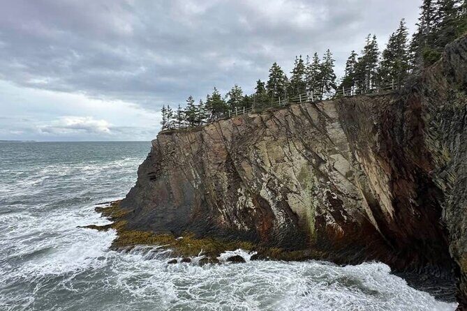 Best of Nova Scotia: Full-Day Private Luxury Tour - Authentic Experiences and Traveler Feedback