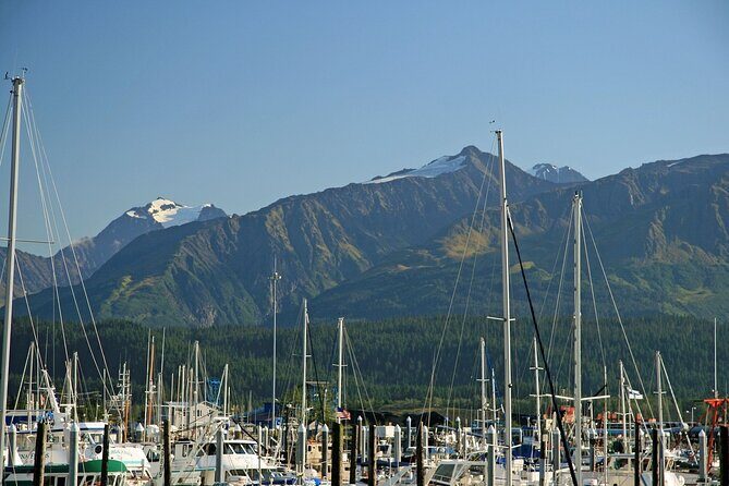 Best of Seward Alaska Full Day Tour - What to Expect From the Itinerary