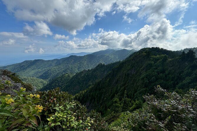 Best of the Smokies Custom Private Tour - Authentic Feedback from Travelers