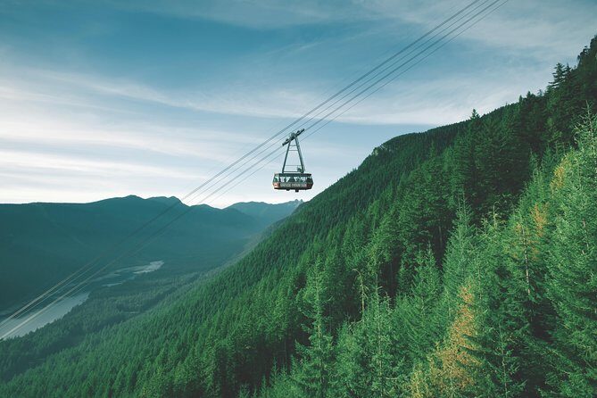 Best Of Vancouver Small-Group Tour w/Capilano + Grouse Mtn Lunch - Insight from Real Travelers