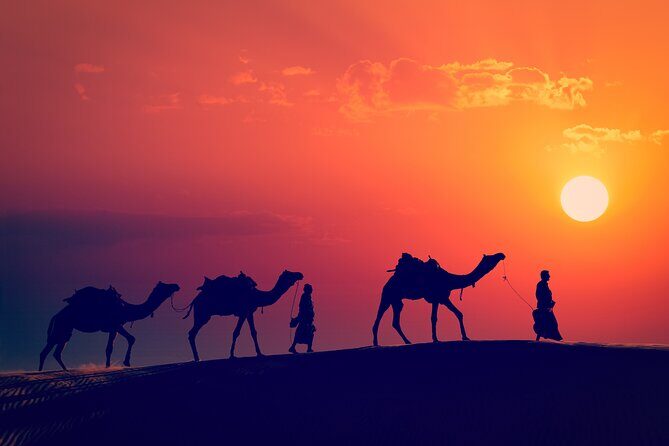 Best of Wadi Rum | Full day jeep tour + overnight in bedouin camp | Pack all-in - Detailed Breakdown of the Itinerary