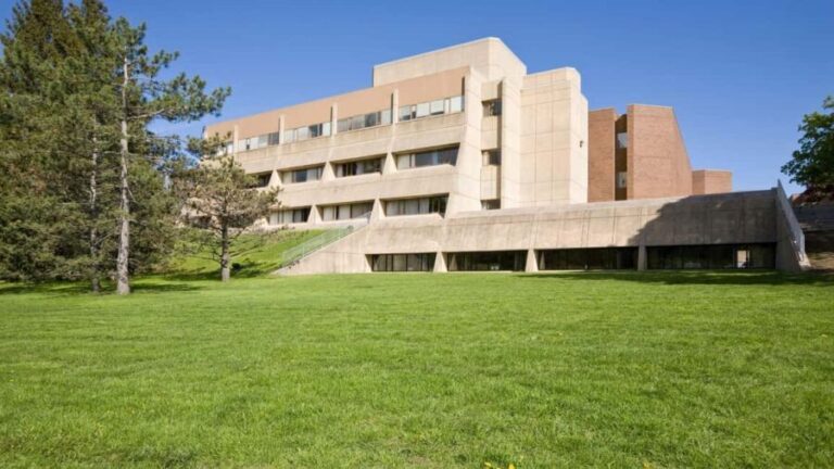 Best of Waterloo: Private Walking Tour with a Local - What Makes This Tour Stand Out