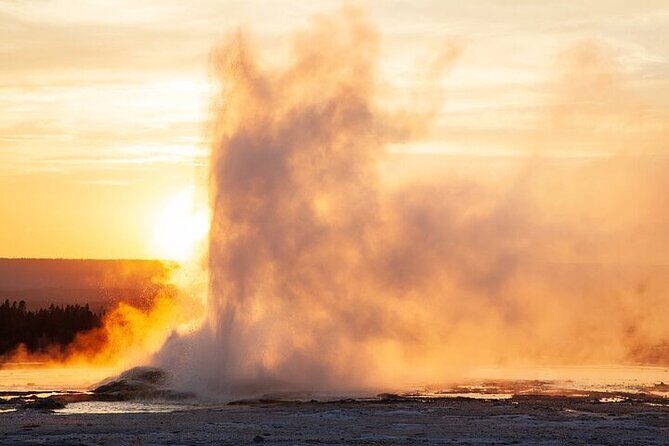 Best of Yellowstone Nat'l Park from W Yellowstone - Private Tour - Who Should Consider This Tour?