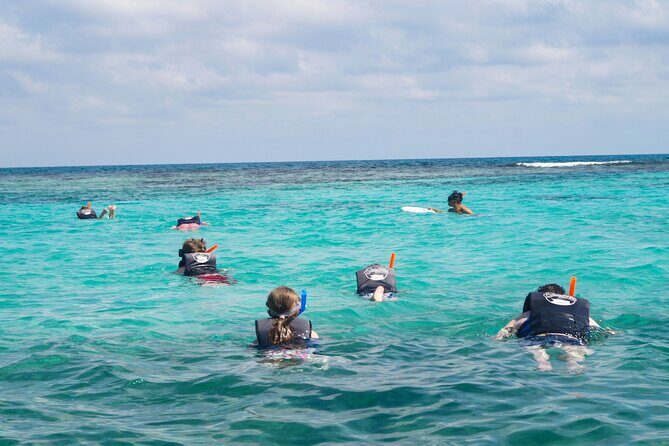 Best SpeedBoat and Snorkeling tour with Transfer from Cancun - The Itinerary Breakdown