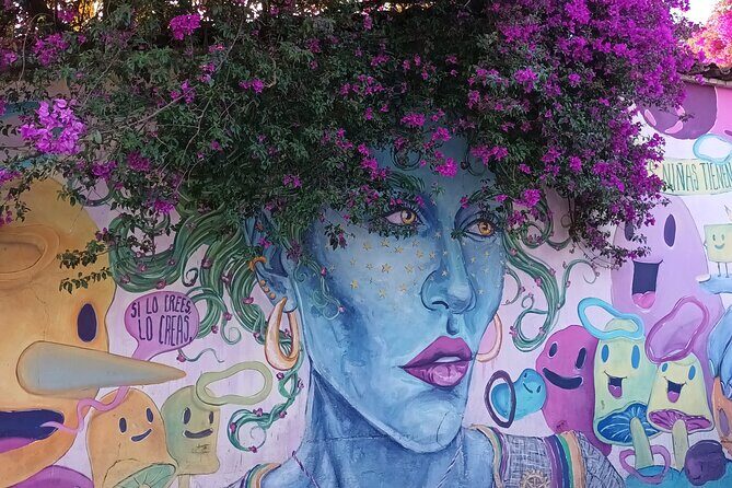 Bicycle Tour through Oaxaca learning about its Urban Art and History - Who will enjoy this tour most?