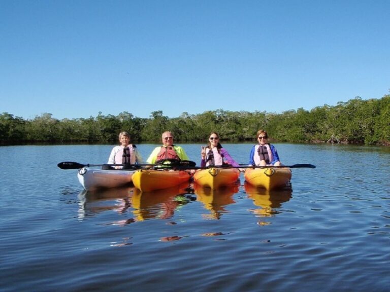 Biddeford Pool: Half Day Kayak or SUP Rental - Why This Experience Stands Out
