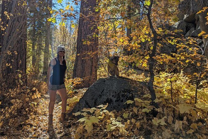 Big Bear Fall Colors Hiking Tour in Southern California - Who Should Consider This Tour?