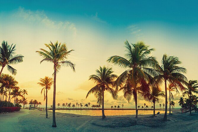 Big Bus Miami: Sightseeing Night Tour by Open-top Bus - FAQ