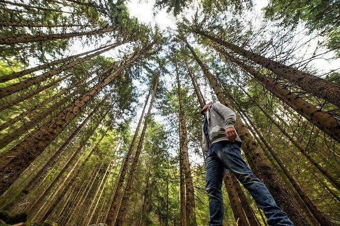 Big Bus San Francisco: Guided Muir Woods Tour - Who Should Consider This Tour?