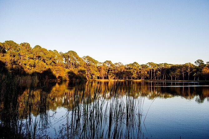Big Cypress National Preserve Self Guided Driving Audio Tour - Who Will Most Enjoy This Tour?
