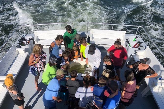 Big Fun Dolphin Cruise & Sealife Experiece ORANGE BEACH ALABAMA - Practical Details: Is It Worth the Price?