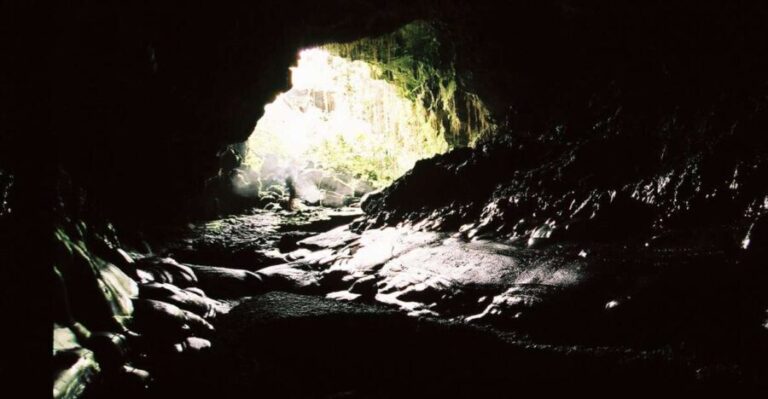 Big Hawaii: Private Guided Van Tour - Why This Tour Might Be Perfect for You