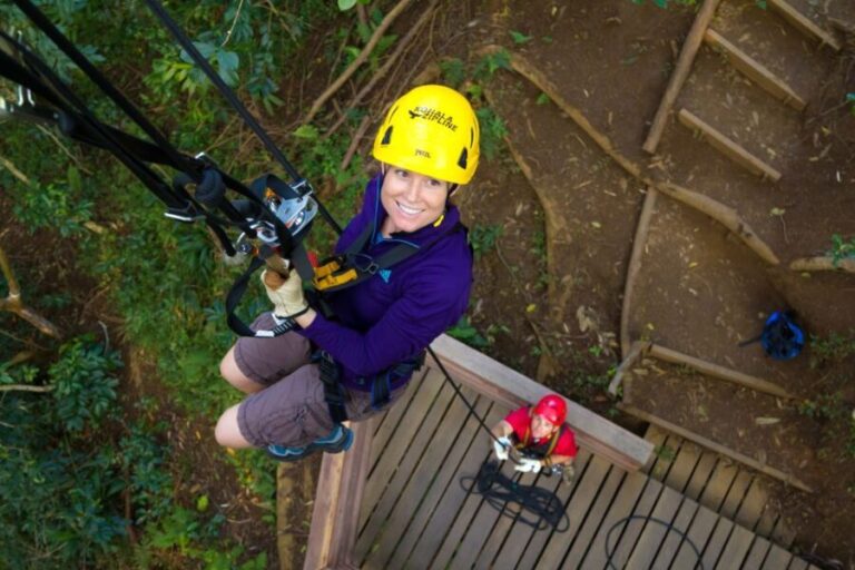Big Island: 3-Hour Kohala Canopy Zipline Adventure - What’s Included and What to Consider