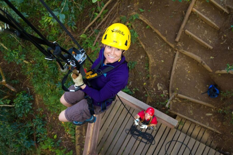 Big Island: 3-Hour Kohala Canopy Zipline Adventure