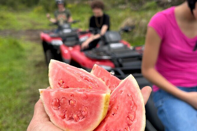 Big Island ATV Tour at Ohana Ranch