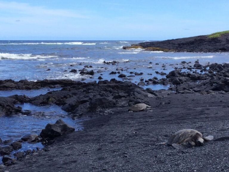 Big Island: Full Day Circle Island Tour From Kona - What We Loved About This Tour