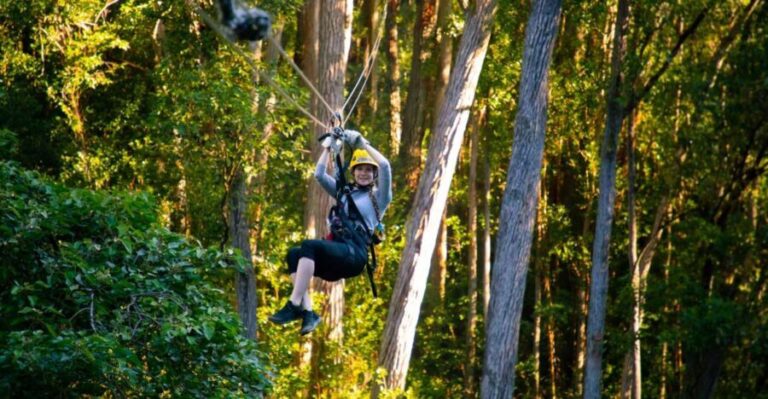 Big Island: Full-Day Kohala Zipline and Waterfall Adventure - What Makes This Tour a Great Value