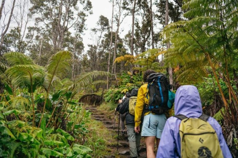 Big Island: Hawai'i Volcanoes National Park Guided Hike - What’s Included and What to Consider