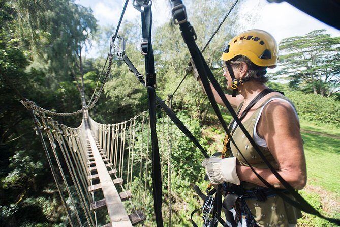 Big Island Kohala Canopy Zipline Adventure - Who Should Consider This Tour?