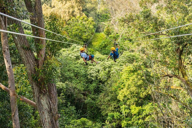 Big Island Kohala Zip and Dip Tour from Kona - An In-Depth Look at the Kohala Zip and Dip Experience