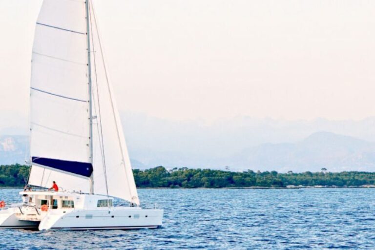 Big Island: Luxury Catamaran Trip along the Kona Coast - Why We Love This Tour
