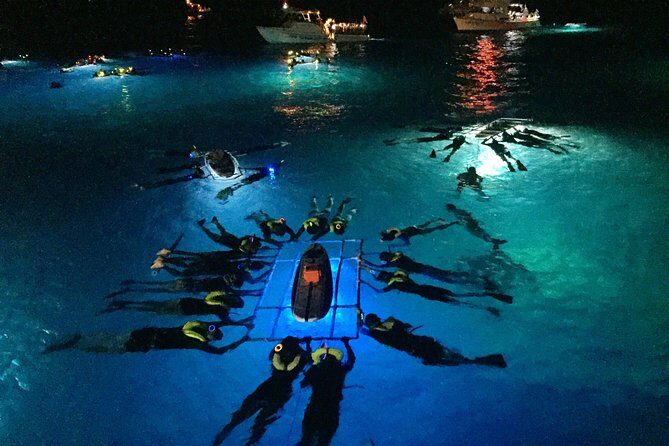 Big Island Manta Ray Night Snorkel - The Value of the Tour