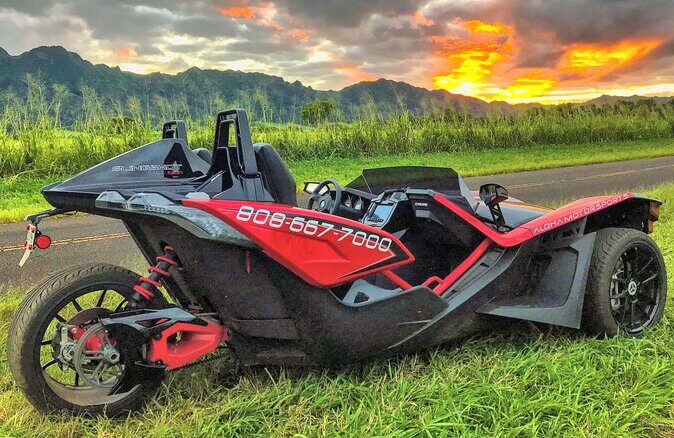 Big Island North Kohala Coast and Pololu Lookout Private Tour - What Driving the Polaris Slingshot Adds