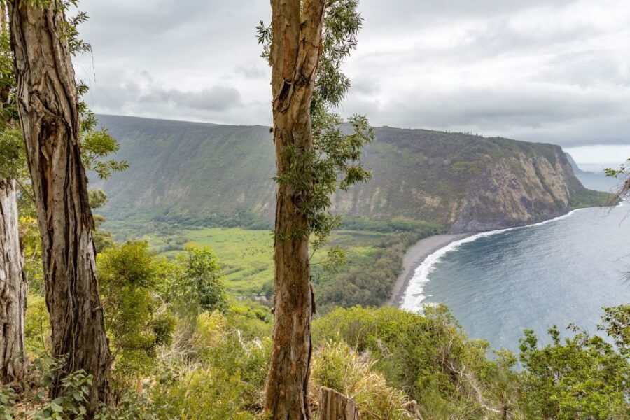 Big Island: Private Island Circle Tour with Lunch and Dinner - What’s Included and What to Expect