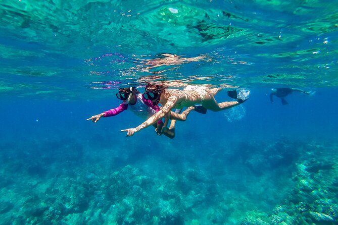 Big Island Snorkel Cruise from Waikoloa - The Sum Up