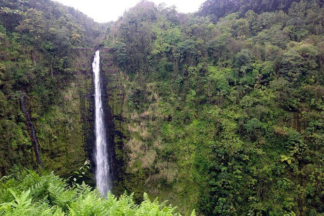 Big Island Volcano Adventure from Kona: Small Group - The Sum Up