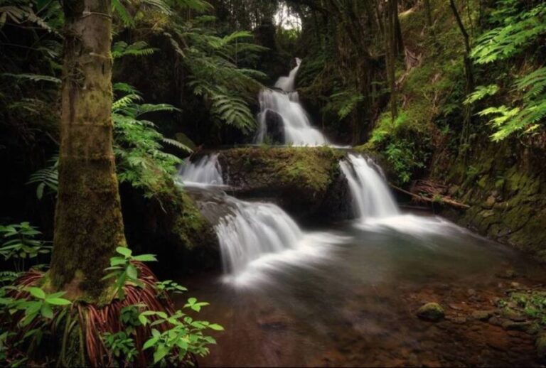Big Island: Waterfall Tour with Swimming & Botanical Garden - What’s Included and Why it Matters