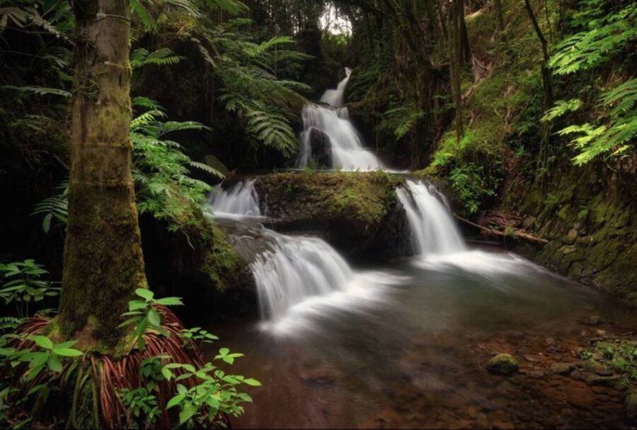Big Island: Waterfall Tour with Swimming & Botanical Garden - What’s Included and Why it Matters