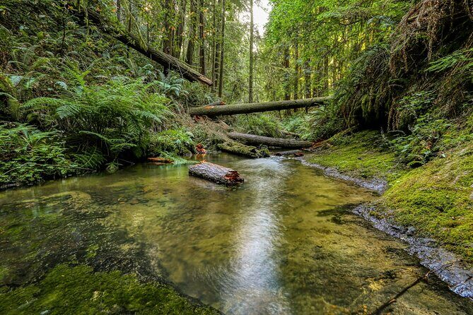 Big Sur Monterey 17 Mile Private Tour from San Francisco 1-12 ppl - Who Should Consider This Tour?