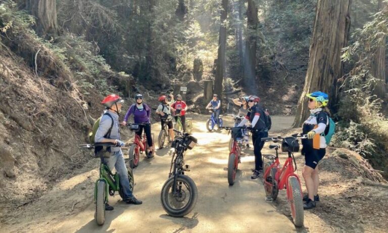Big Sur's Old Coast Road E-Bike Tour - Practical Details: What to Expect and Plan For