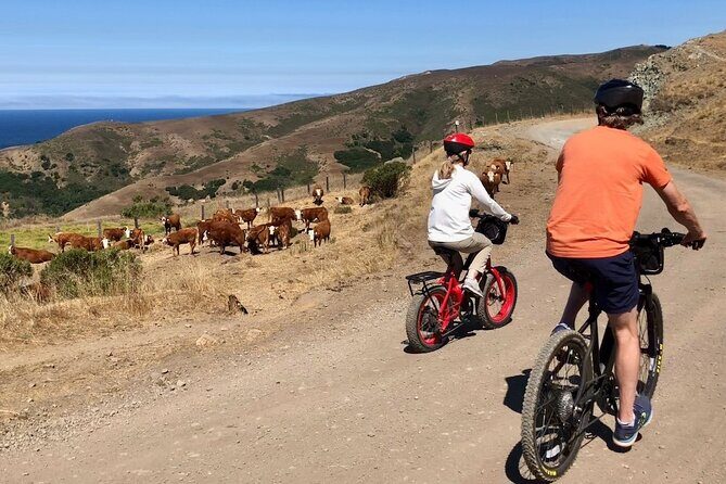 Big Sur's Old Coast Road eBike Tour - Why This Tour Offers Great Value
