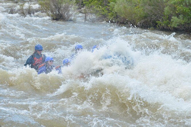 Bighorn Sheep Canyon Half-Day Rafting - What We Love Most