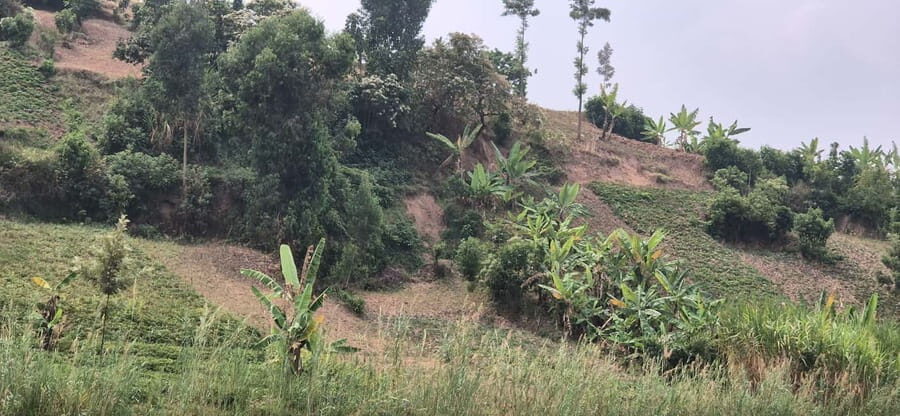 BIGOGWE : Rock Climbing and Cow Milking & Corn Roasting Tour