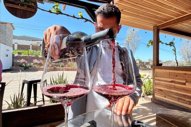 "Bike 2 wine", Exploring vineyards on a bike - FAQ